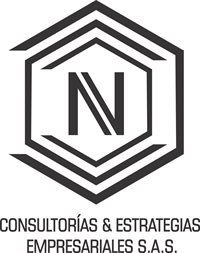 NV Consultorias y Estrategias Empresariales SAS