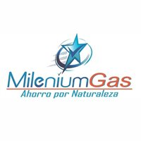Movilgas ltda