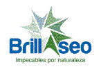 Brillaseo  S.A.