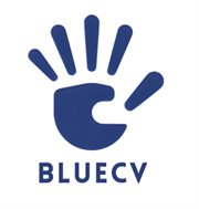 BLUE CV CONSULTORIA EMPRESARIAL SAS