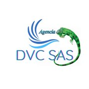 DESTINO Y  VIAJES.COM SAS