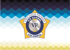 V. P. GLOBAL LTDA