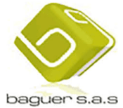 BAGUER S.A.S