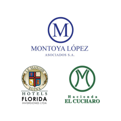 FLORIDA INVERSIONES LTDA