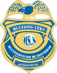 Multiseg