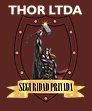 Seguridad Thor ltda