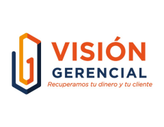 Visión Gerencial