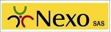 CONSULTORA DE RECURSOS HUMANOS NEXO SAS 