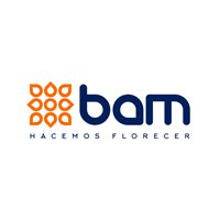 Bam S.A.