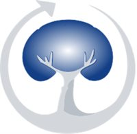 FUNDACIÓN PREVRENAL