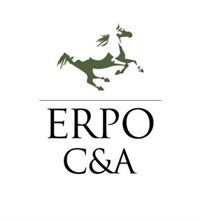 ERPO CONSULTORES Y ASESORES S.A.S